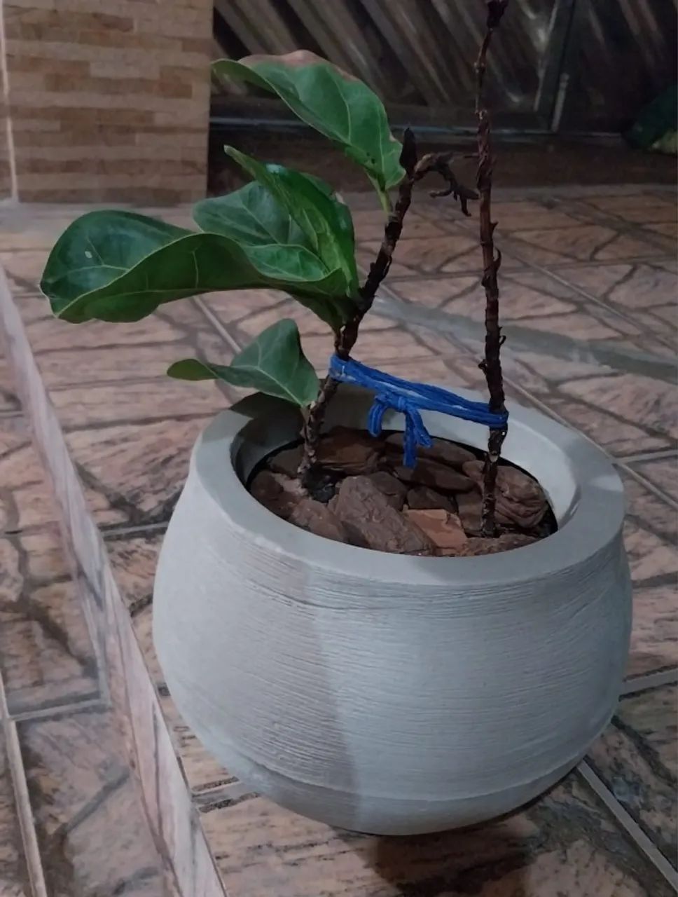 Vaso de Planta + Terra + Cascalho Artesanal - Foto 2