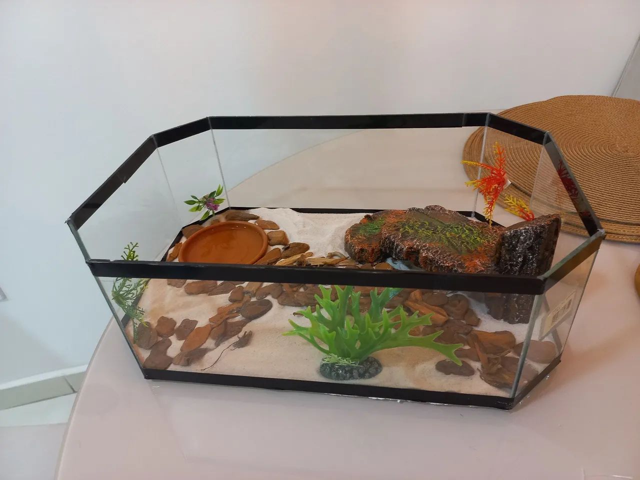 Terrário decorado para répteis