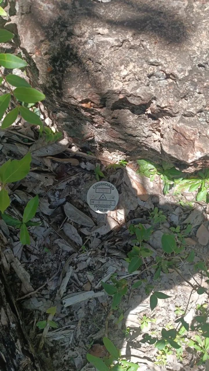 Vendo um terreno para sítio com olho d'água  - Foto 3