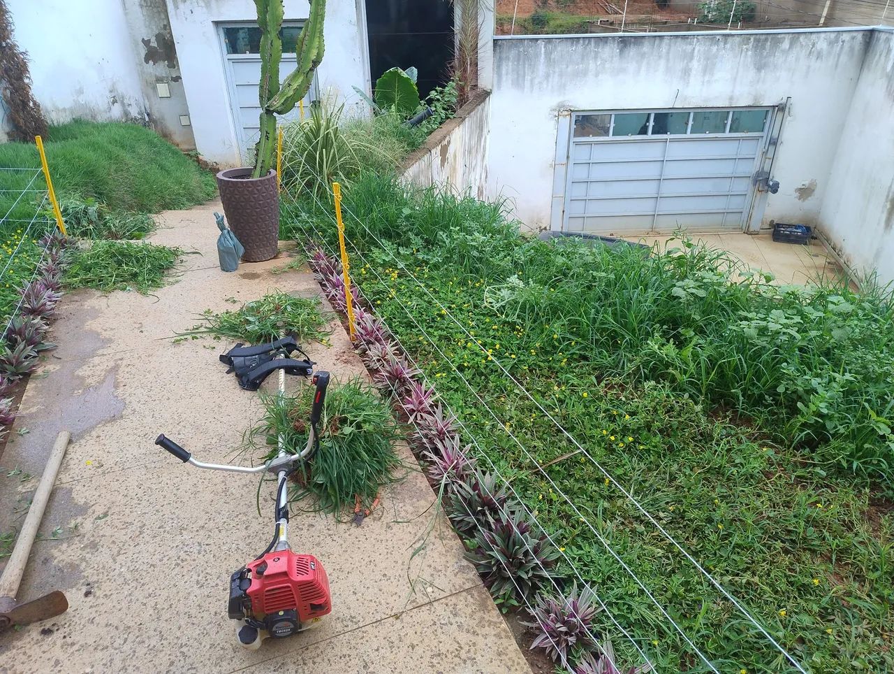 Serviço de jardinagem  - Foto 2