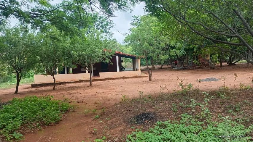 CHÁCARA A VENDA  - Foto 5