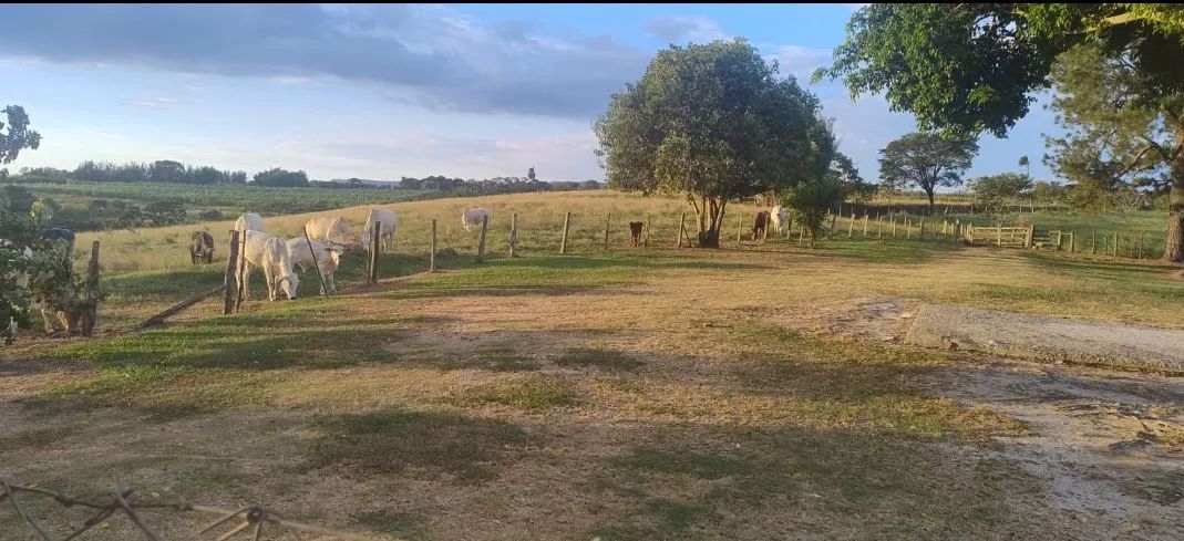 Sítio a venda em Charqueada sp - Foto 3
