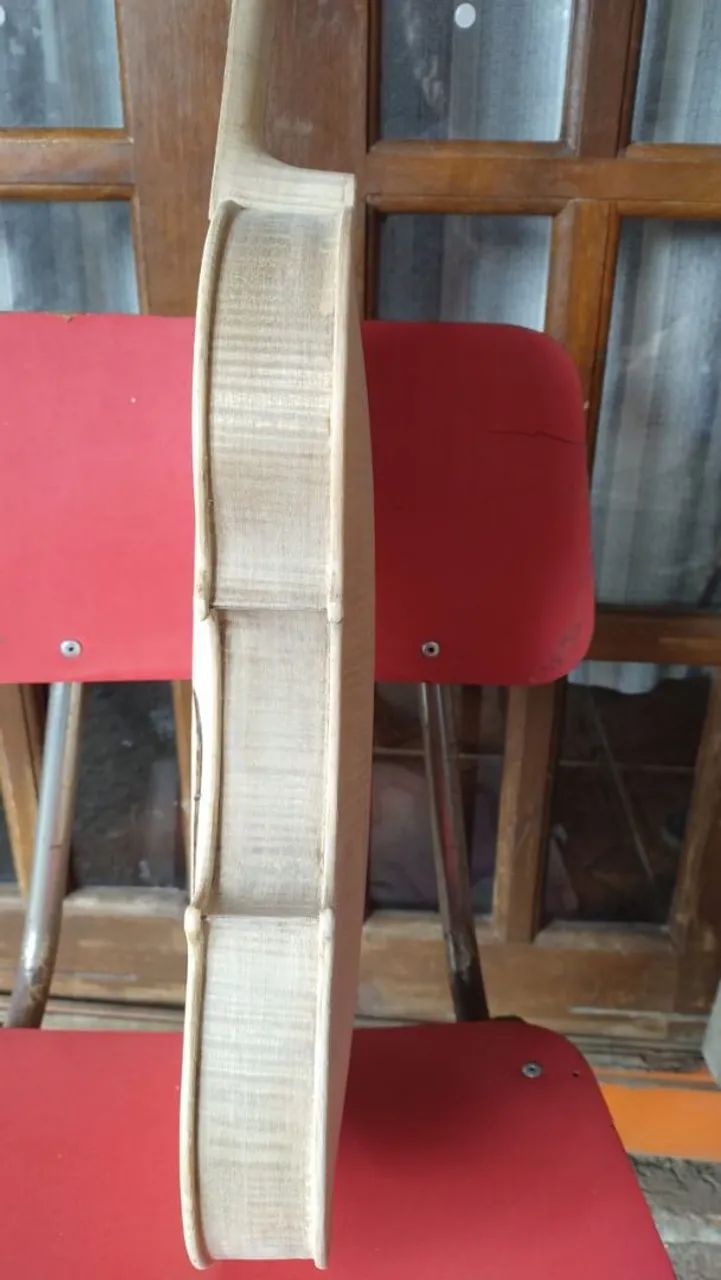 Viola classica  - Foto 5
