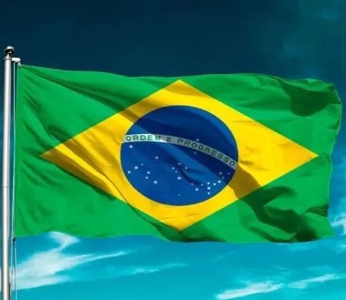 Bandeiras do Brasil diversos tamanhos e materiais  - Foto 5