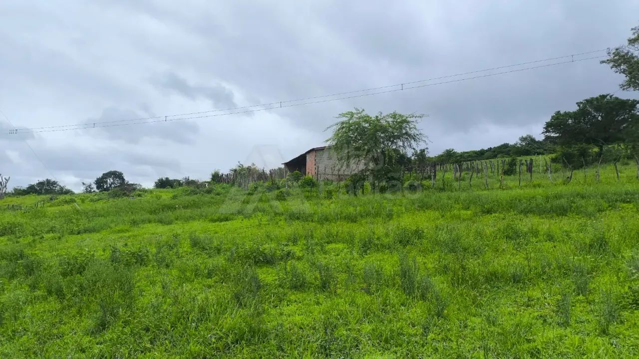 PARA PEQUENO AGRICULTOR !!! - Foto 2