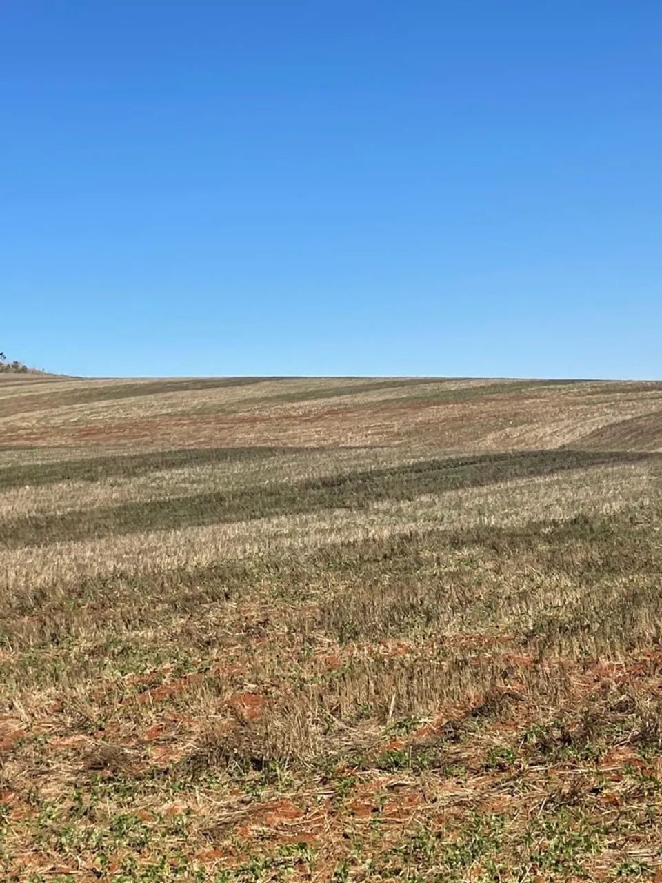 Fazenda à venda em Londrina  - Foto 5