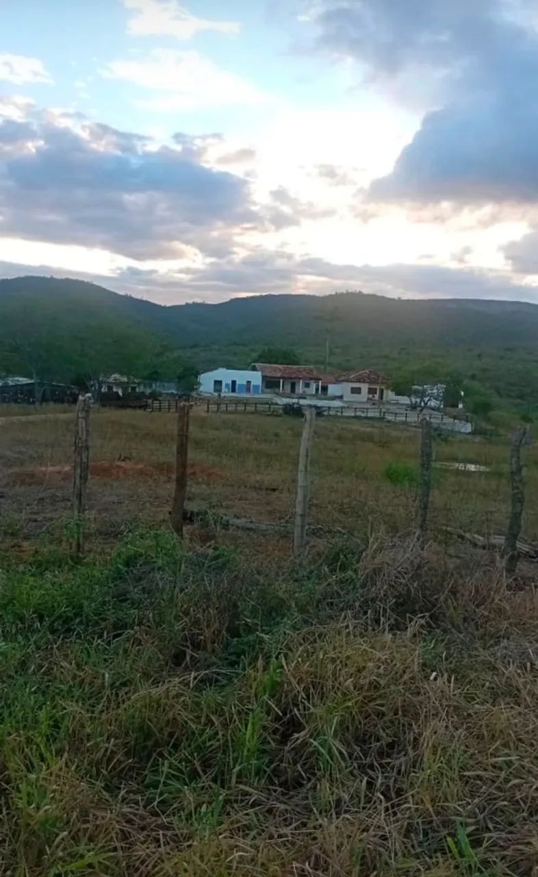 Fazenda em Mirangaba 