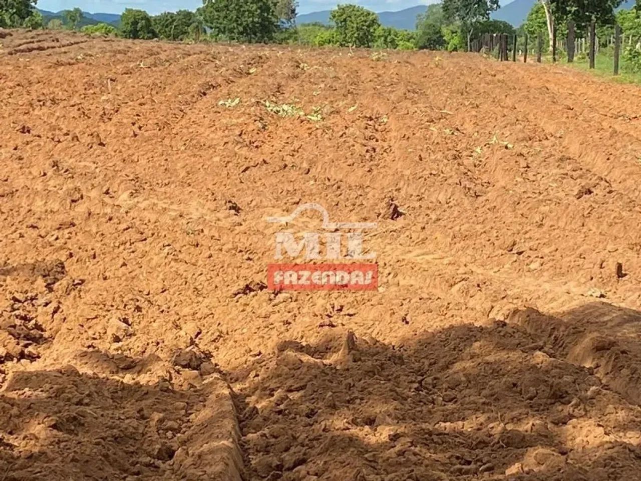 Fazenda 106 Alqueires (515 Hectares) Jau do Tocantins - TO - Foto 5