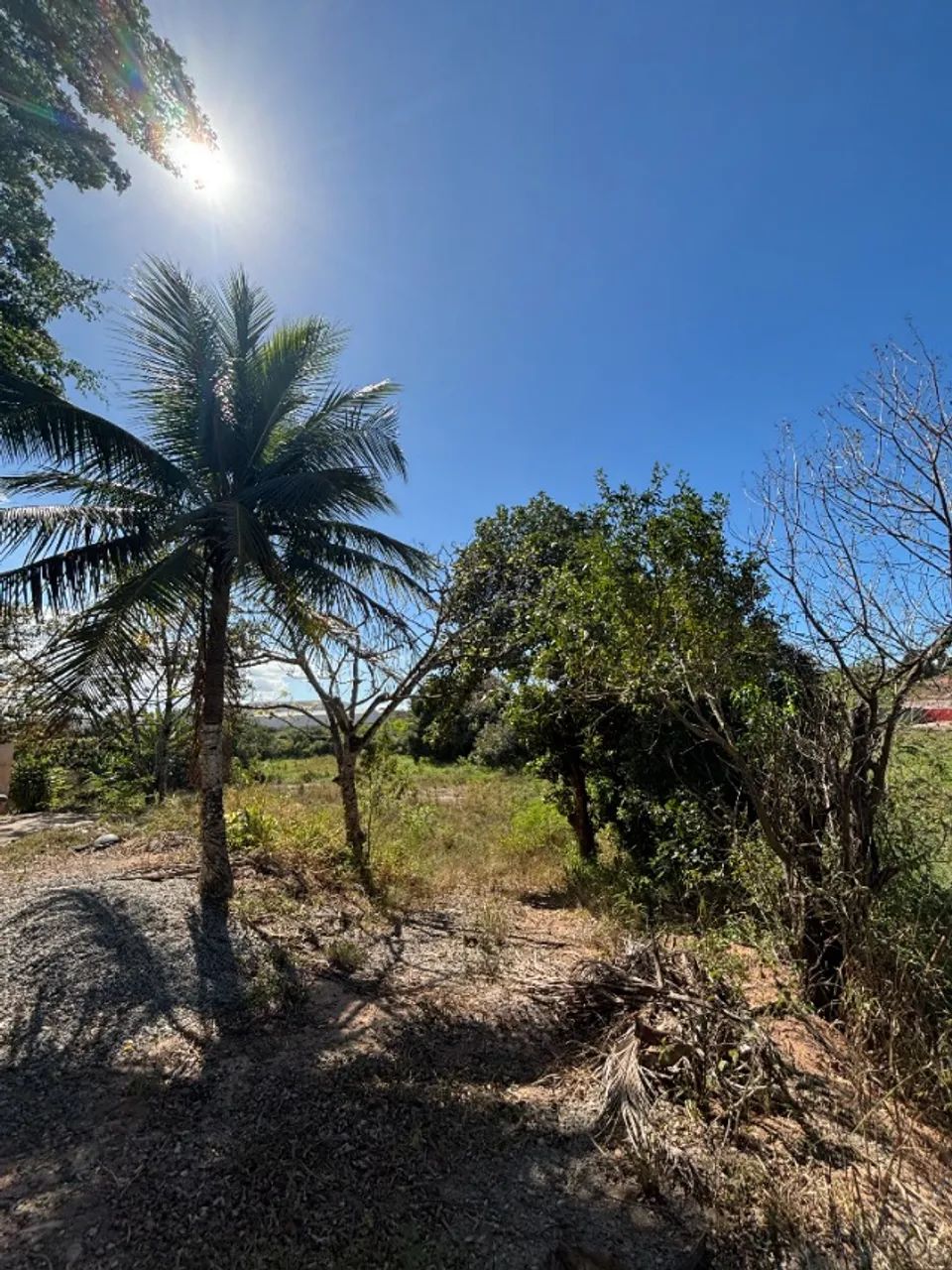 Terreno Xuri, com casa - 2.500m2 - Foto 2