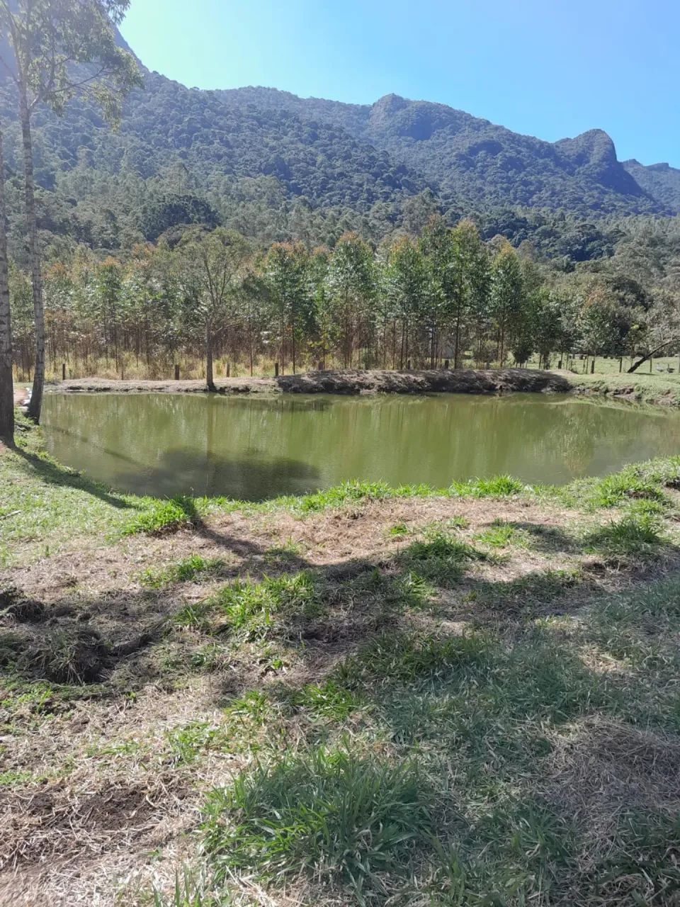 sitio 4 alqueires com muita água em Joanópolis SP - Foto 4