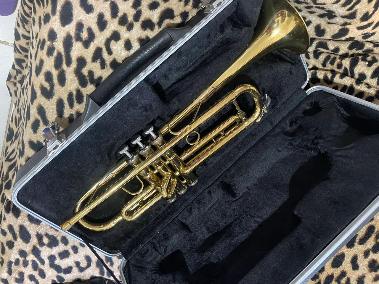 Trompete Dolphin em ótimo Estado+Case e Bocal | Preço Negociável! - Foto 2