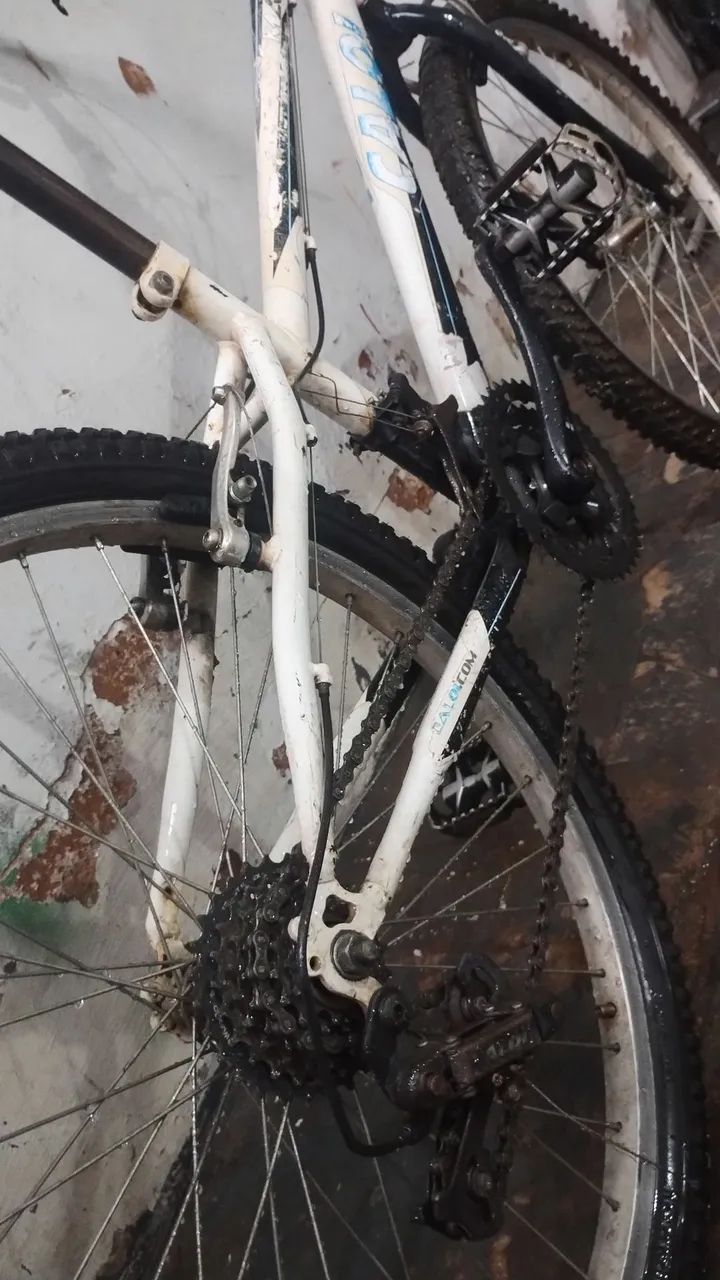 Bicicleta  - Foto 5