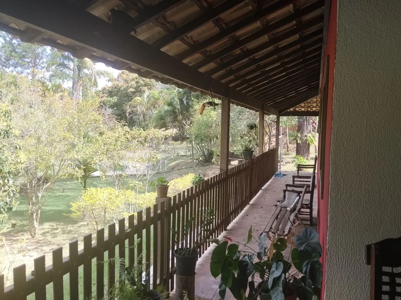 FAZENDA /ROÇAS NOVAS / CAETÉS  - Foto 5