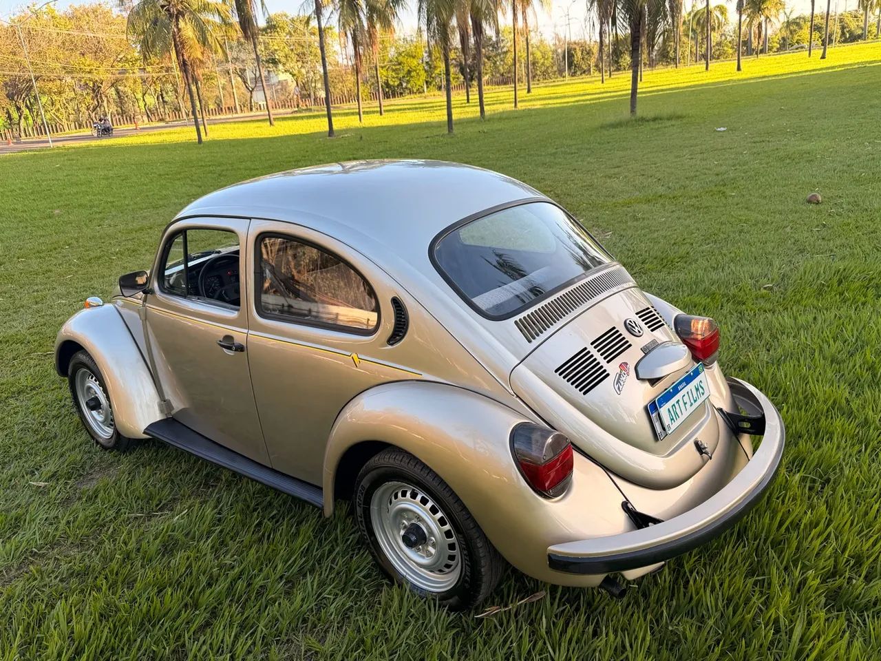 Volkswagen Fusca Fusca (gasolina) 1994