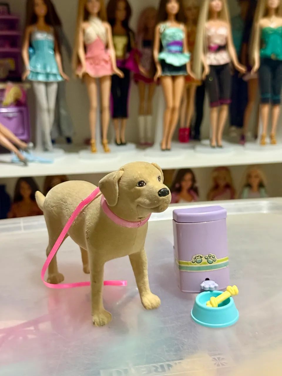 Cachorro da Barbie - tanner  - Foto 5