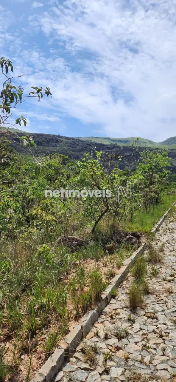 Venda Lote-Área-Terreno São Caetano da Moeda Moeda - Foto 2