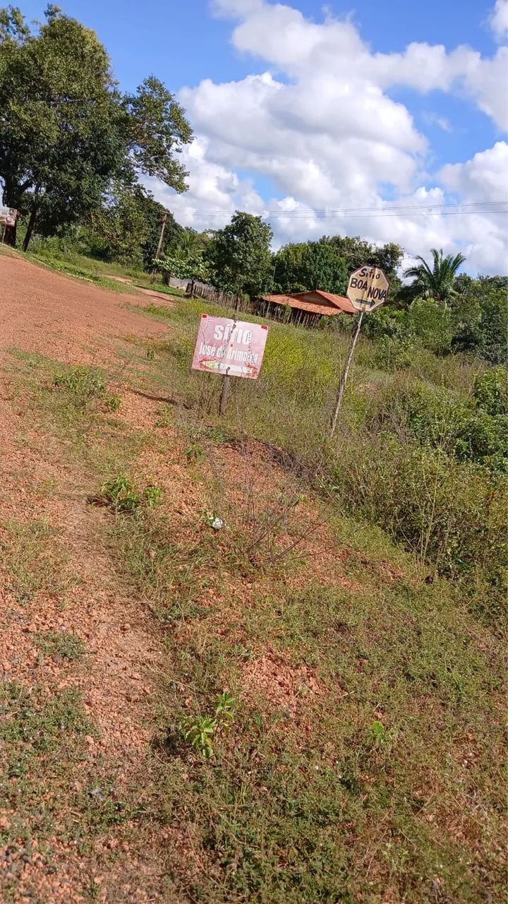 Terreno dentro do roncador 