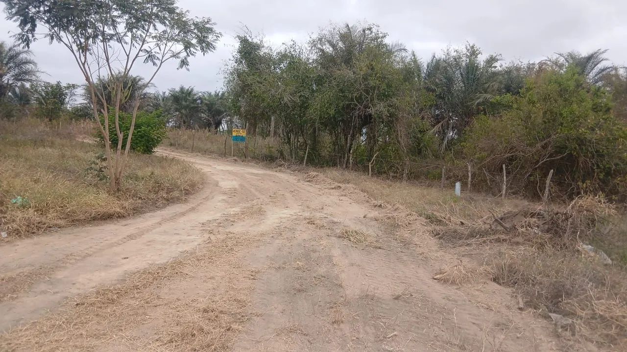 Área para sitio. - Foto 3