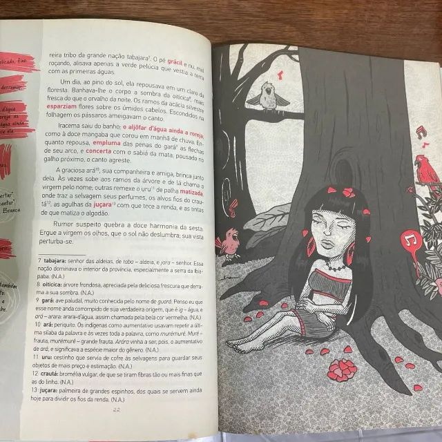 Livro Iracema - Foto 3
