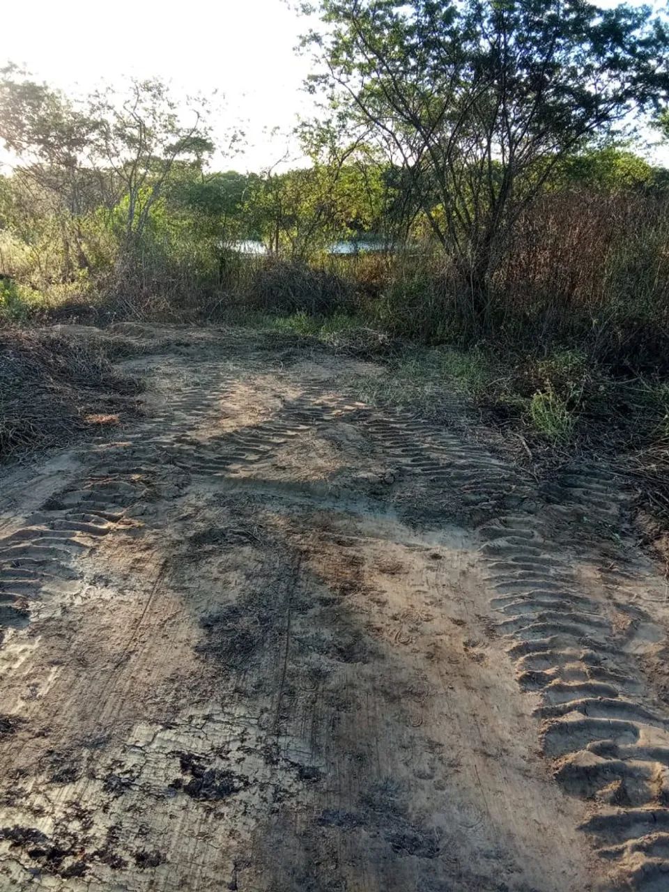 Oportunidade! Terreno à venda em Palmeira dos Índios_Alagoas - Foto 4