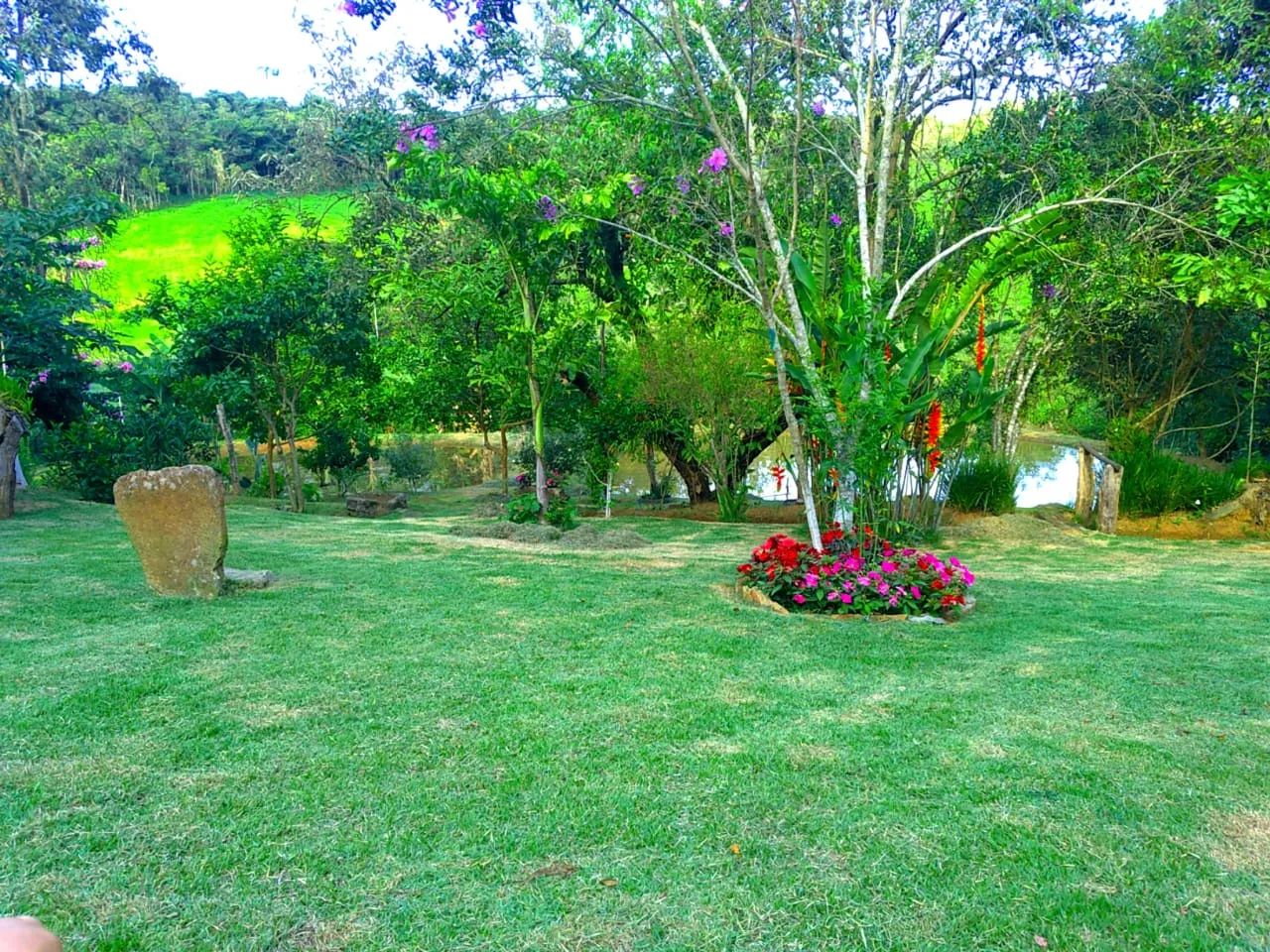 Lindo Sitio - 6 Ha. - Bairro Castro - Foto 4