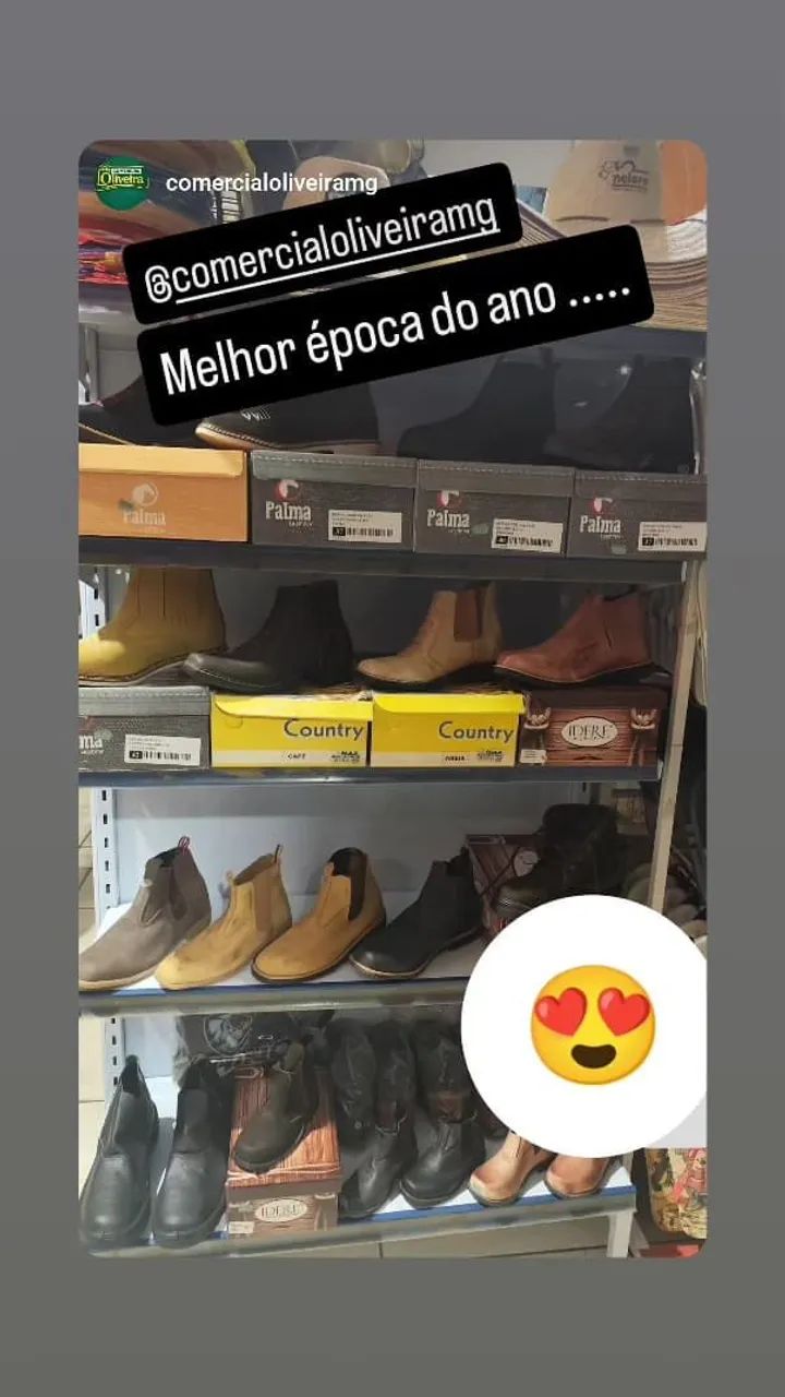 Botinas