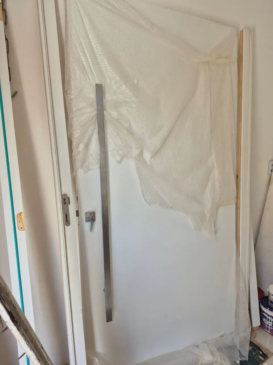 Full Pivot Door (READ THE LISTING)444717987917342722
