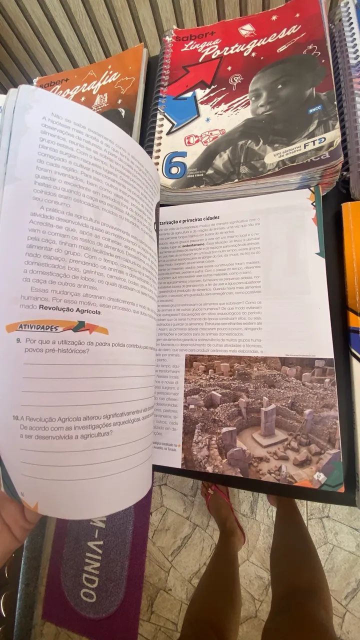 FTD Saber + Textbooks Grade 6429414188508794885