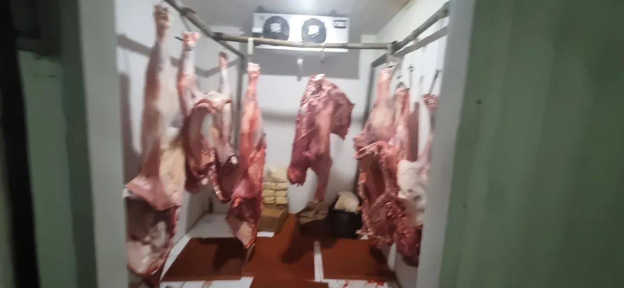 CÂMARA FRIGORÍFICA  - Foto 3