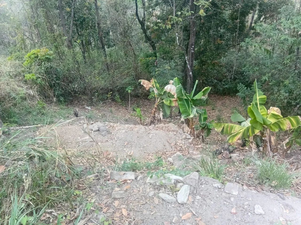 Terreno preço abaixo do mercado - Foto 3