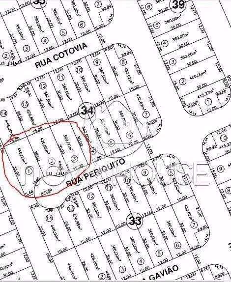OPÇÃO DE 3 TERRENOS JUNTOS - Foto 4