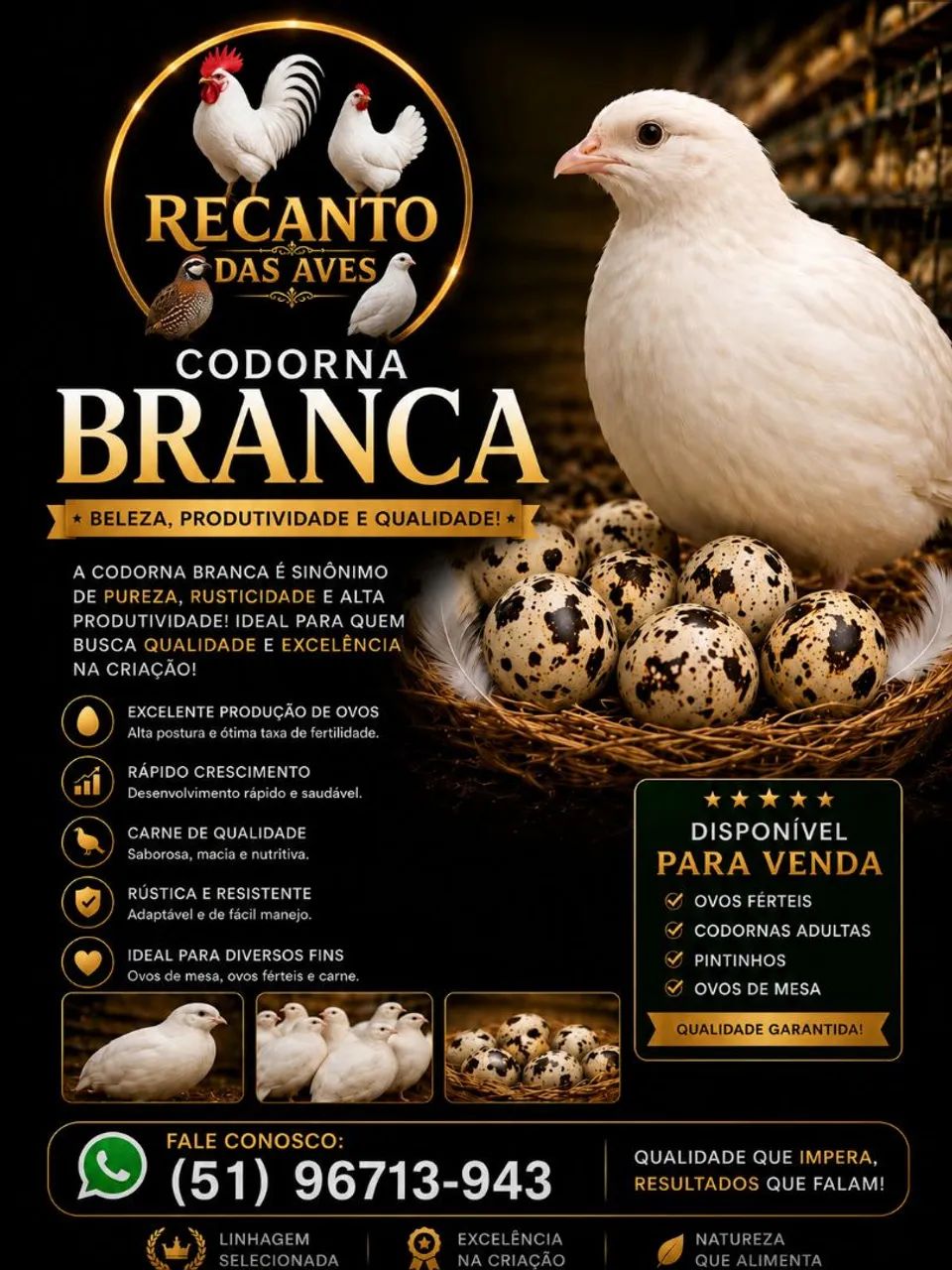 Vendo codorna branca 