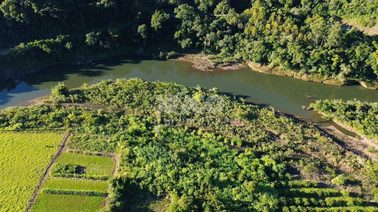 EXCELENTE ÁREA DE TERRAS EM NOVA PETRÓPOLIS/RS - Foto 4