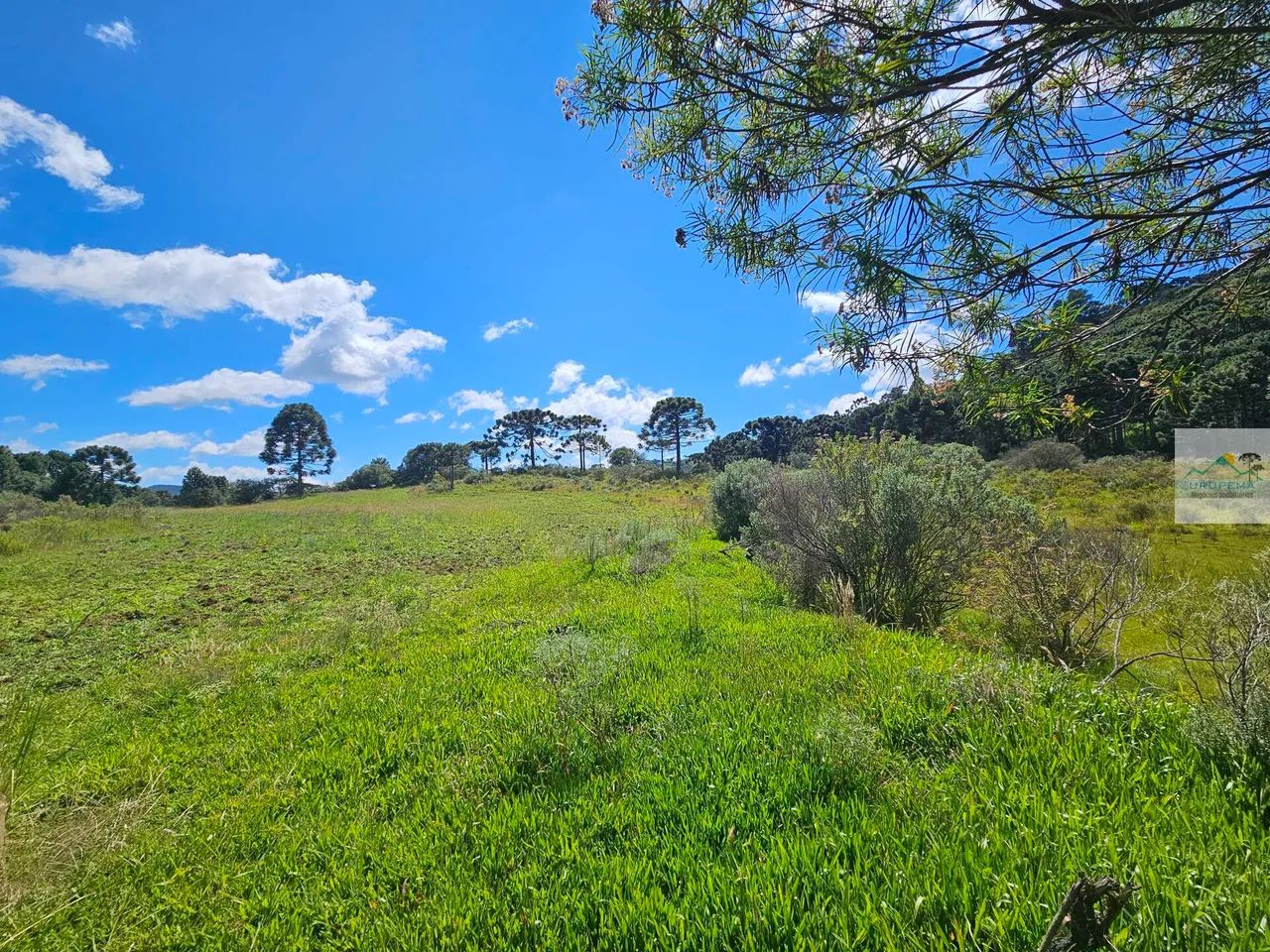 Terreno em Cedrinho, Urupema/SC - Foto 3