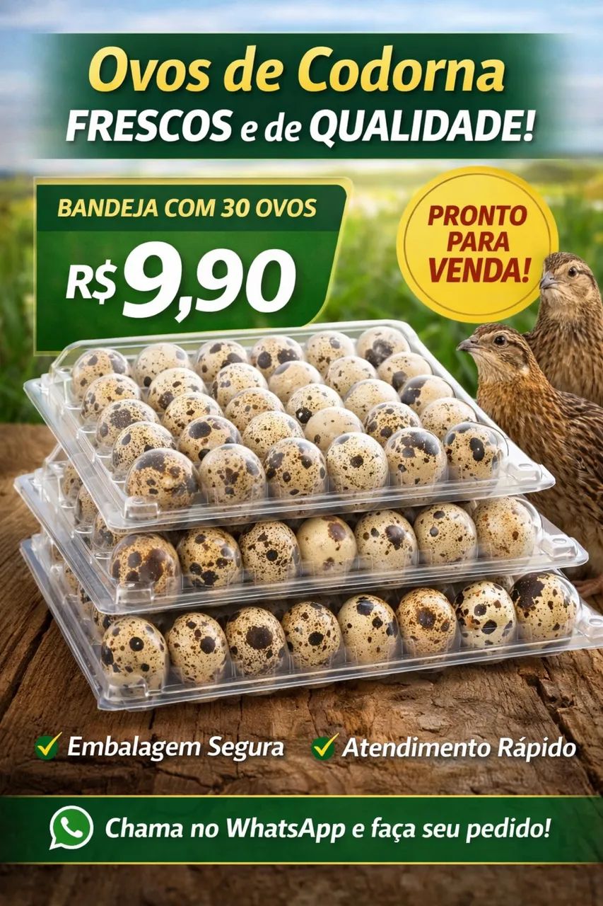 Ovos de codorna