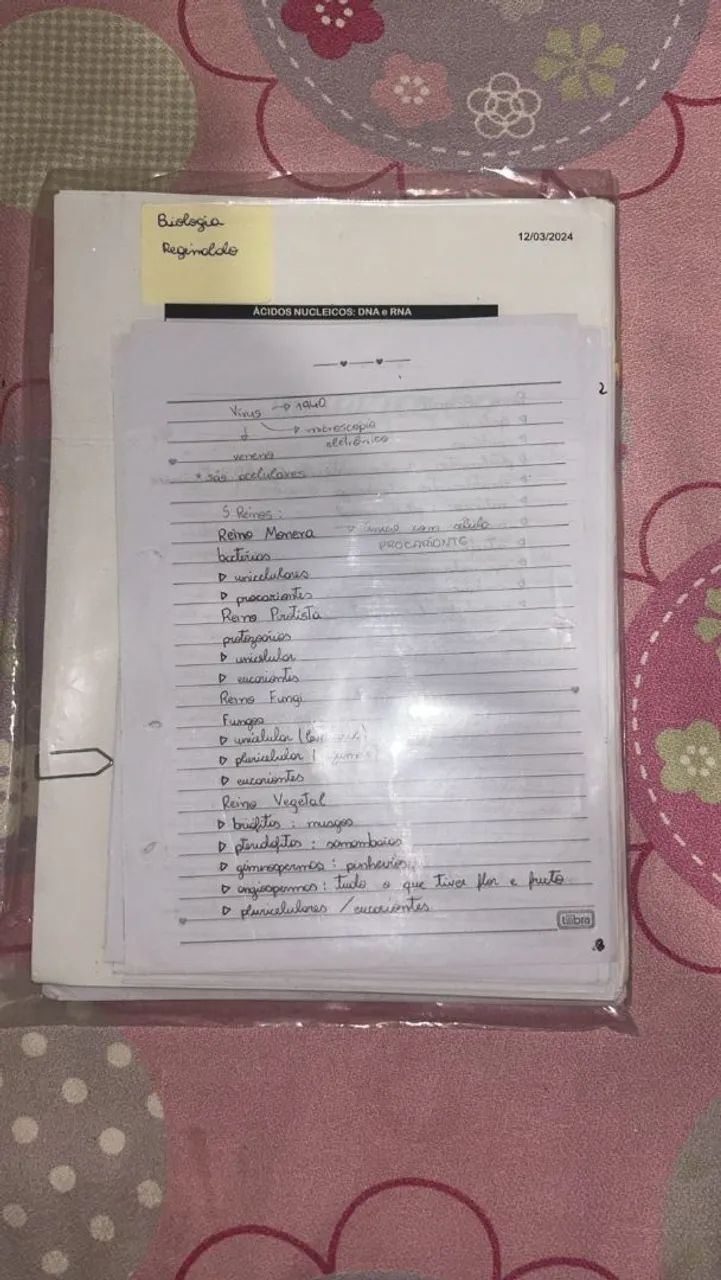 Cadernos Enem  - Foto 5