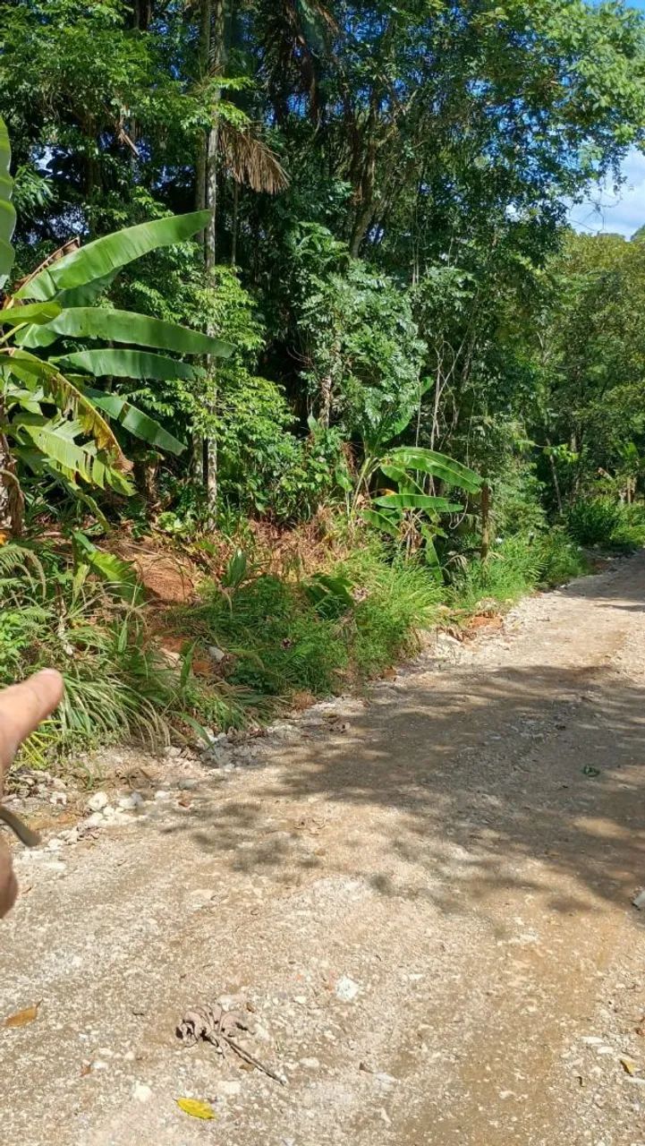 Terreno rural Santo amaro da imperatriz  - Foto 4