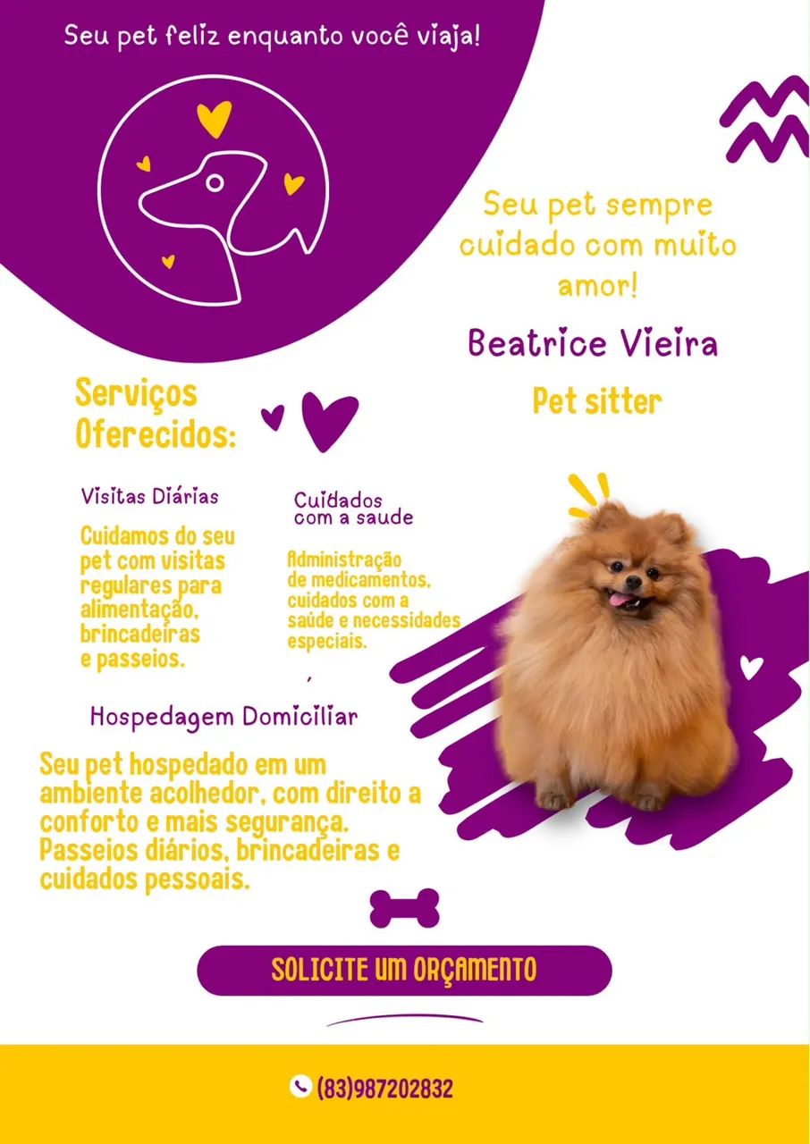 PET SITTER