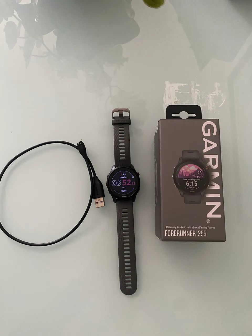 Garmin 255 