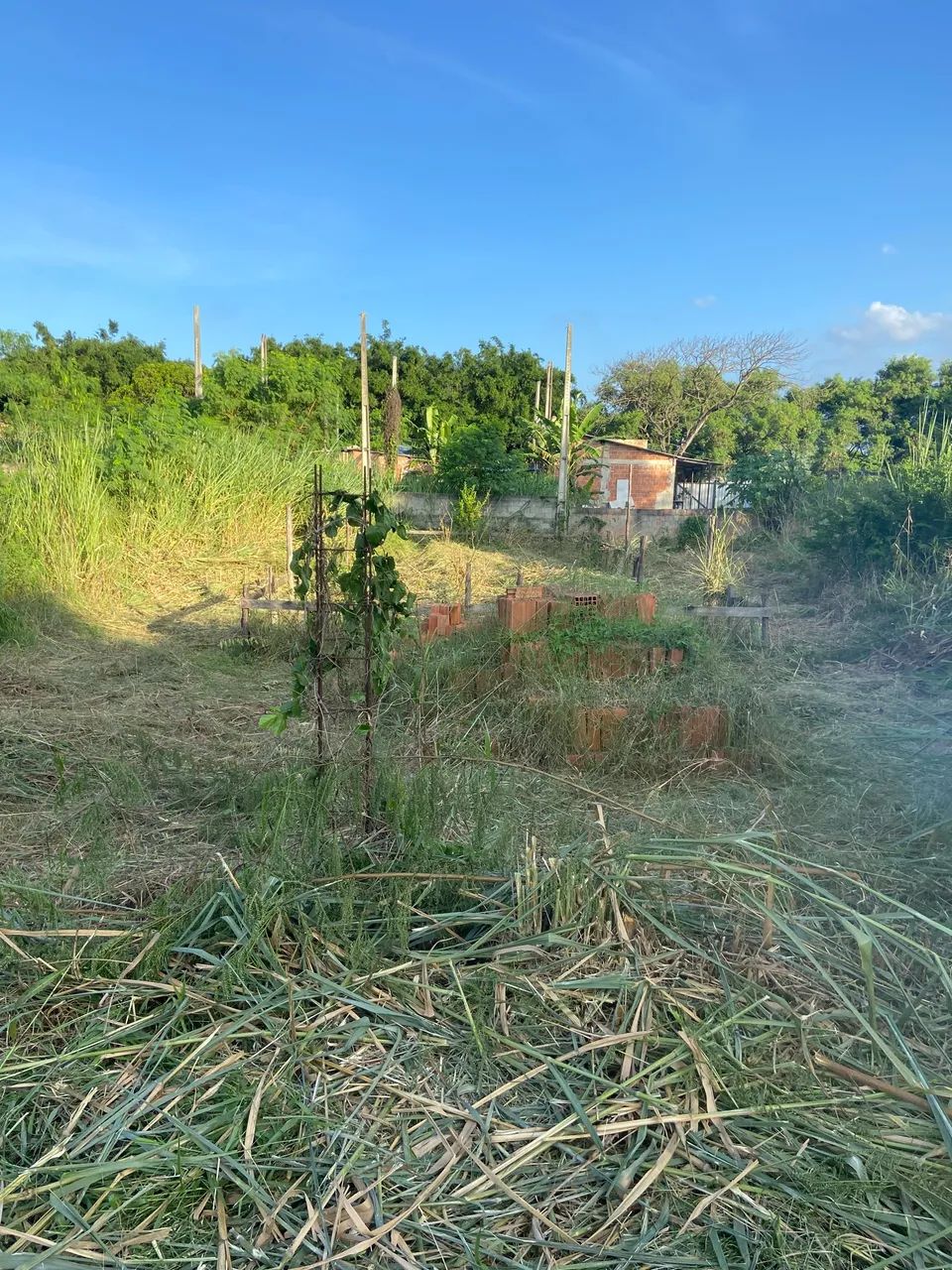 VENDO OU TROCO - Foto 3