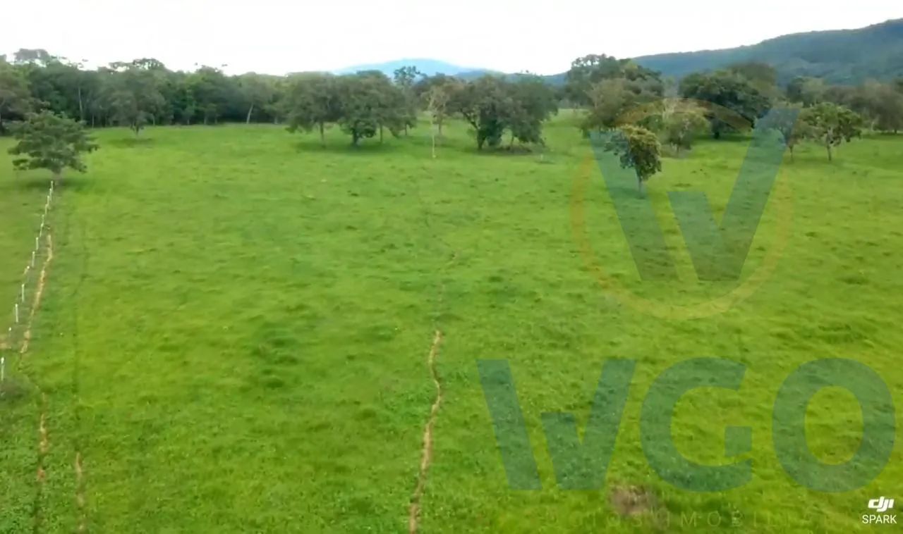 Fazenda para Venda em Pirenópolis, ZONA RURAL, 3 dormitórios, 1 suíte, 2 banheiros, 3 vaga - Foto 7
