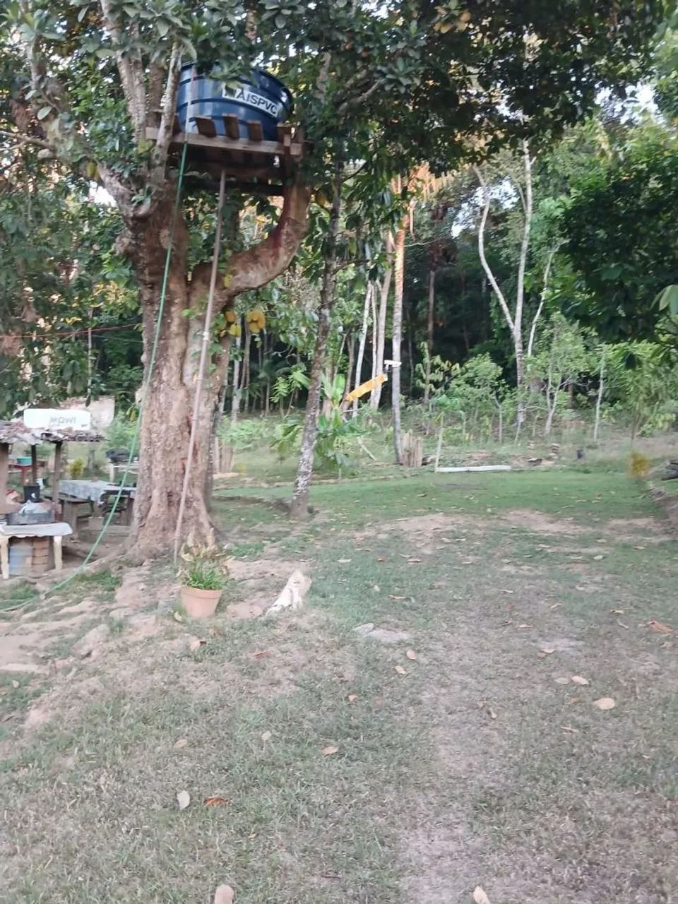 Chácara a venda  - Foto 3
