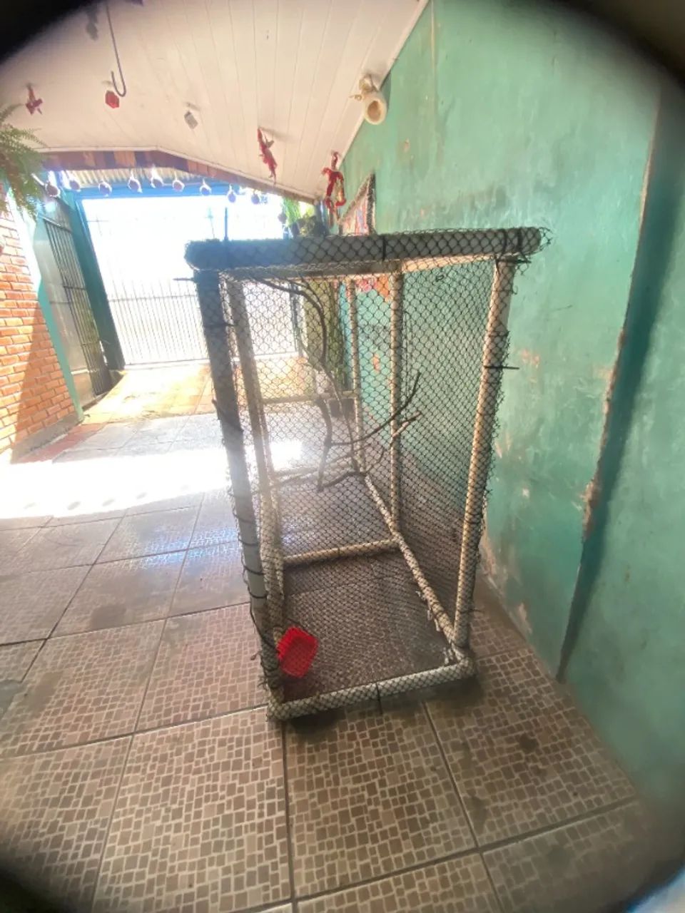 "Para- Despega- Gaiola grande de Cano Pvc tamanho 143 por 120 de - Foto 5