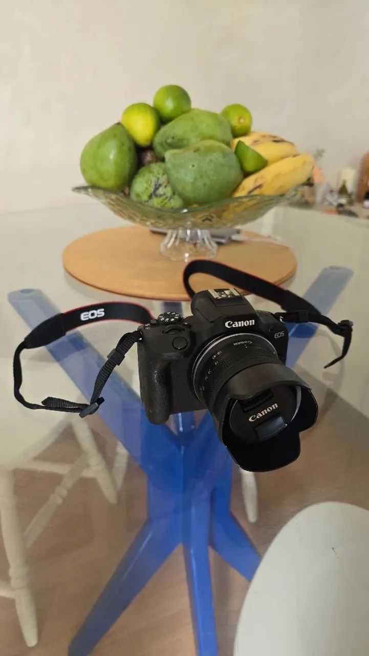 CANON R100