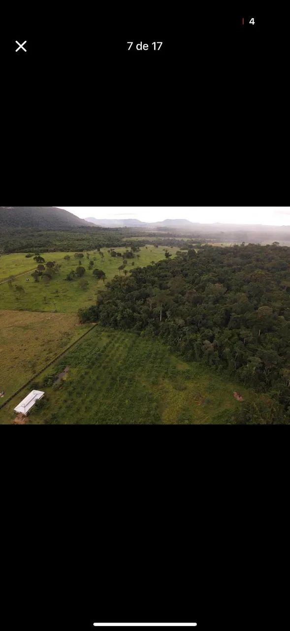 Fazenda no Apiau - Foto 3