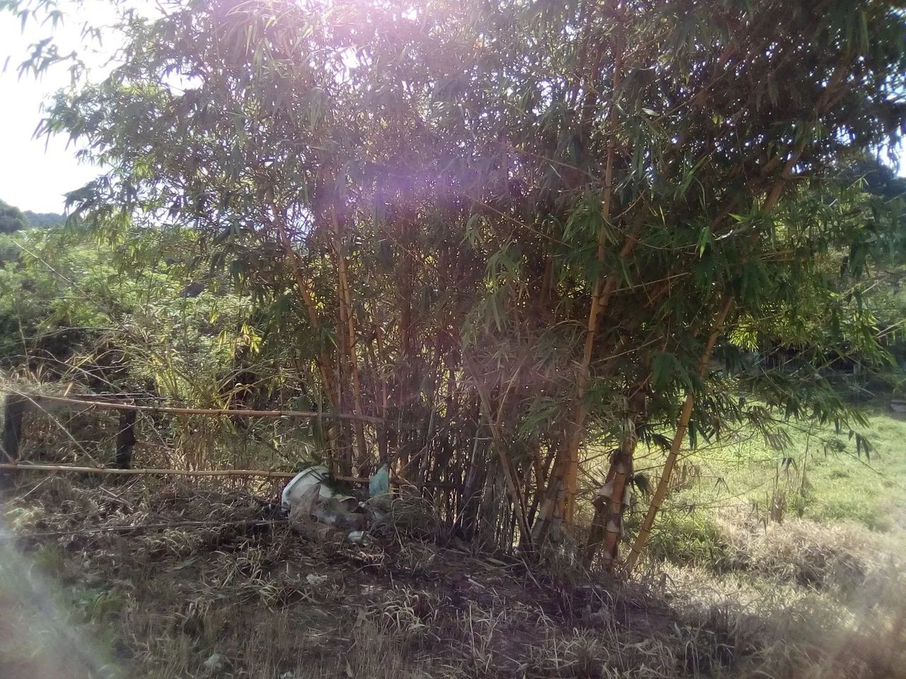 TERRENO GRANDE - Foto 3