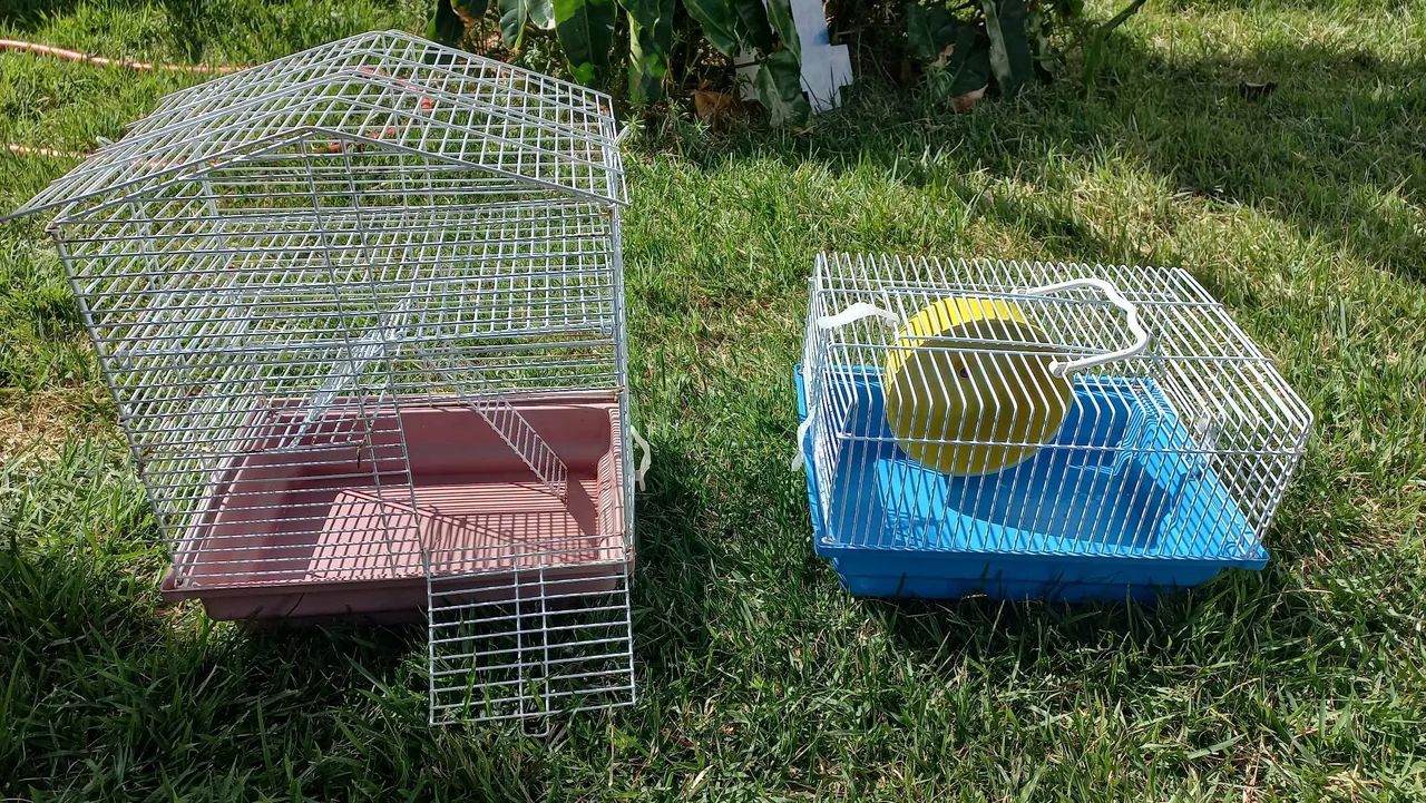 Gaiola Hamster