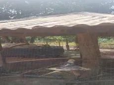Vende chácara com 2 quartos na Fercal Sobradinho DF - Foto 3
