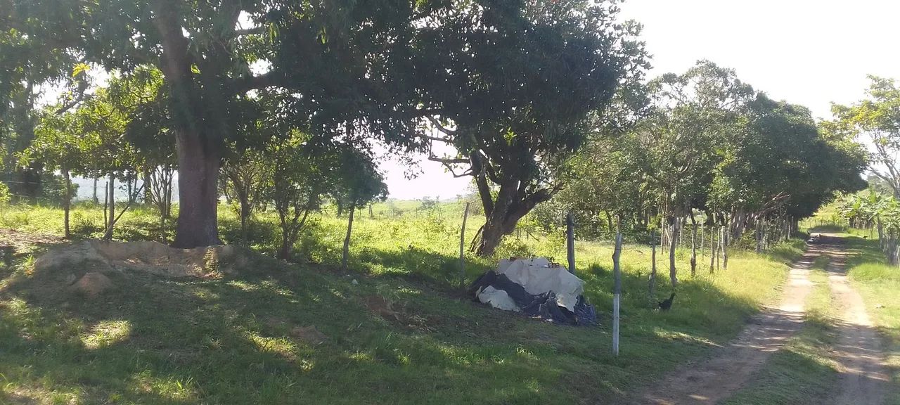 Vende-se Sítio  - Foto 5
