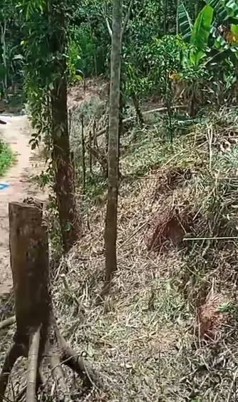 Vendo terreno em Marechal Floriano  - Foto 2